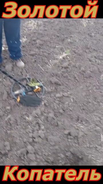 Нашли древнее золото... shorts смотреть онлайн