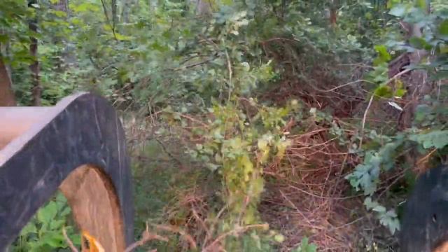 PREPARING FOR A 15 ACRE CLEAR CUT (Cut em all down) смотреть онлайн