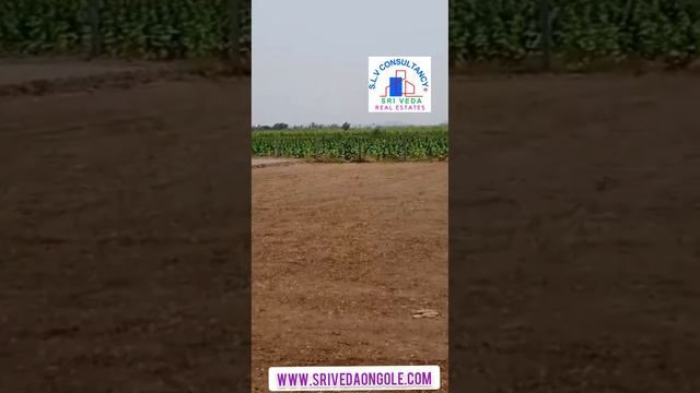 PLOTS FORSALE ONGOLE смотреть онлайн