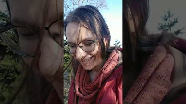 Медвежьи беседы, часть 40. смотреть онлайн