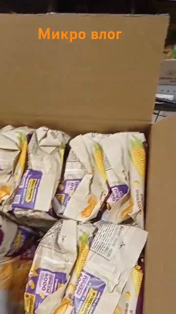 влог, #минивлог #рекомендации #recommended смотреть онлайн