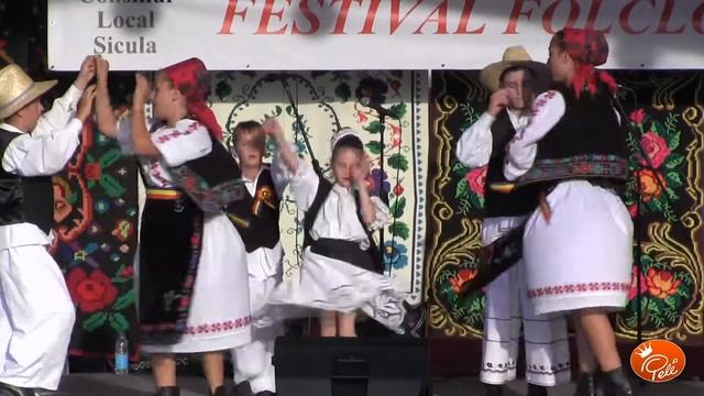 14 Ansamblul Garofita din Simand multicam youtube смотреть онлайн