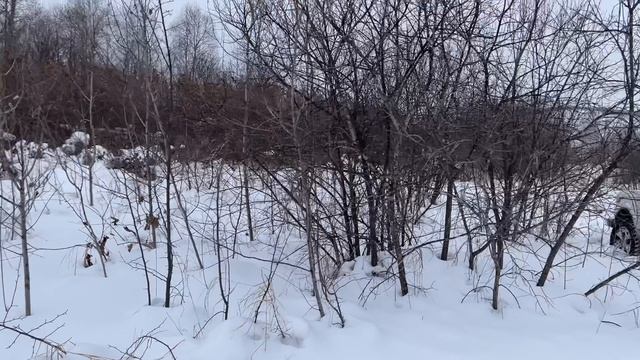 Покатушки на Ниве.
У нас зима. 
Амурская область.