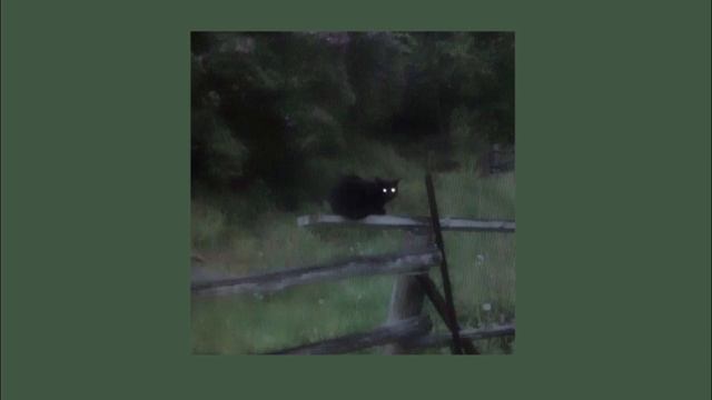 Poison tree~Grouper {sped/pitched} 1 hour loop смотреть онлайн