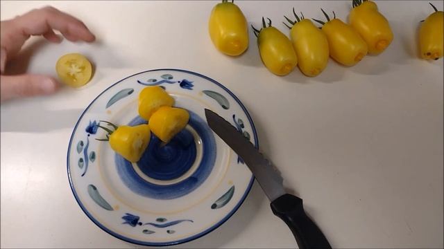 Tomato Tester: Dwarf Banana Toes(Mild Paste)! смотреть онлайн