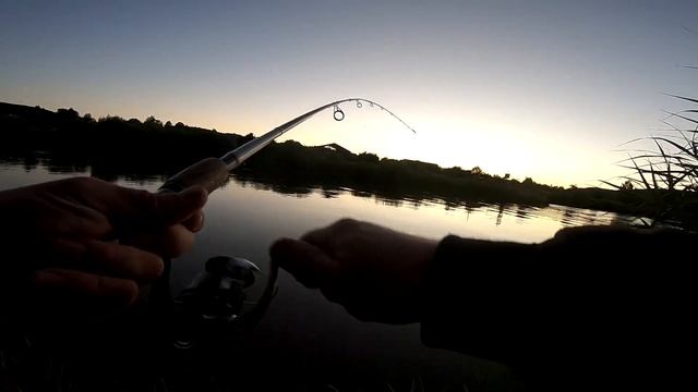 рыбалка 01.07.2018 угорь Aal смотреть онлайн