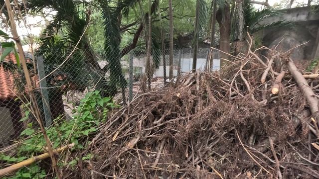 Чамские башни Вьетнам