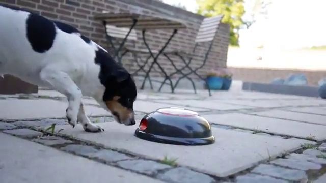 PULSE by NORTHMATE смотреть онлайн