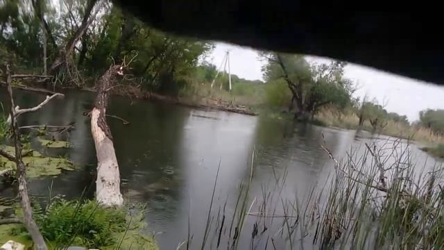 Атака щуки !2018 год! смотреть онлайн