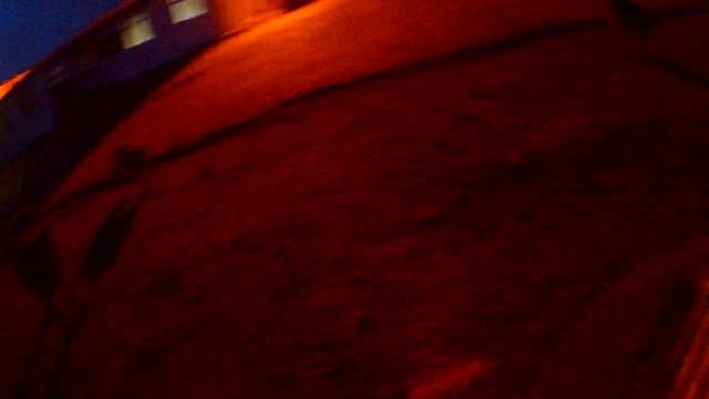 Я открываю приют для собак! отчет 7 за 14 июля смотреть онлайн