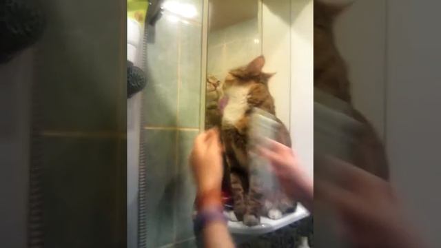 Паста вкусная хаха смотреть онлайн