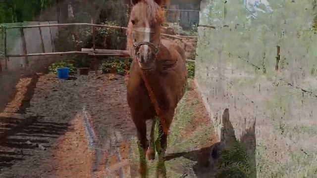 #Малиша смотреть онлайн