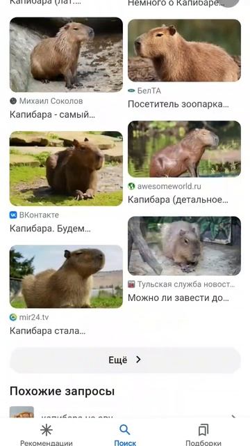 капибара капибара капибара смотреть онлайн