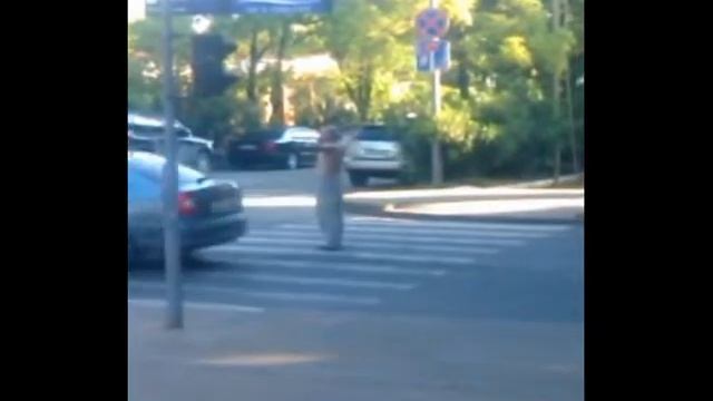 Белка на дороге_длинный.mpg смотреть онлайн