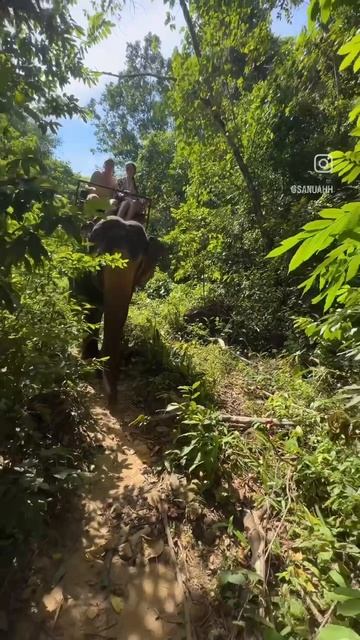 Путешествие - это инвестиции в себя🏞️ смотреть онлайн