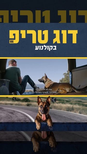 "דוג טריפ" (צ'אנינג טייטום וכלבה) - קומדיה חדשה - רק בקולנוע смотреть онлайн