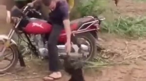 Обезьяна орет