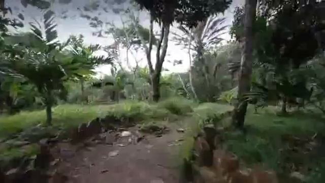 Isla de Margarita - ParadiseTur смотреть онлайн