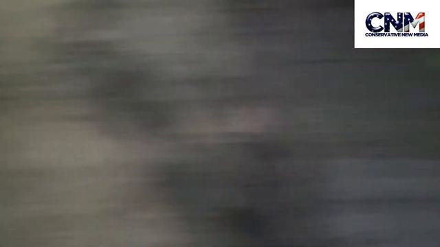 Giant Anteater Startles a Small Patagonian Cavy in 1080P HD - by John D. Villarreal смотреть онлайн