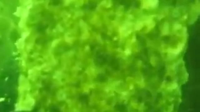 Self-sacrificial Anode Inspection смотреть онлайн