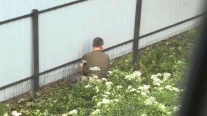 Установка решетки под забор от собак