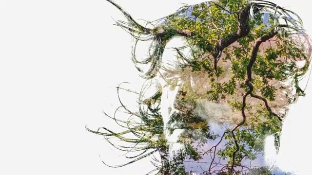 Bibio - Old Graffiti - Lyrics & Türkçe Çeviri