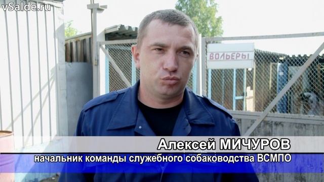 Четвероногие охранники ВСМПО смотреть онлайн