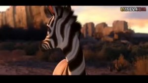 KUMBA multfilm uzbek tilida