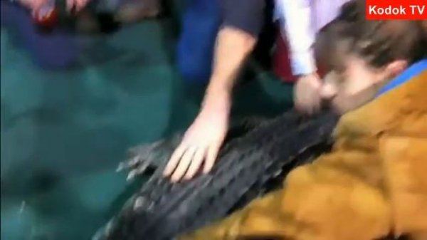 Wow wow.... Bermain dengan Alligator Lucu