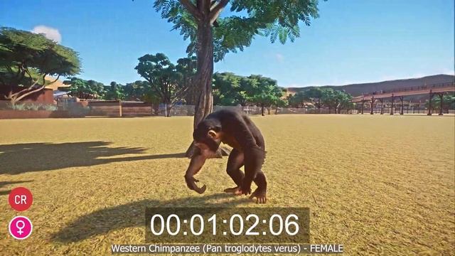 5 iconic jungle species from around the globe Speed races in Planet Zoo included Tiger, Okapi etc смотреть онлайн