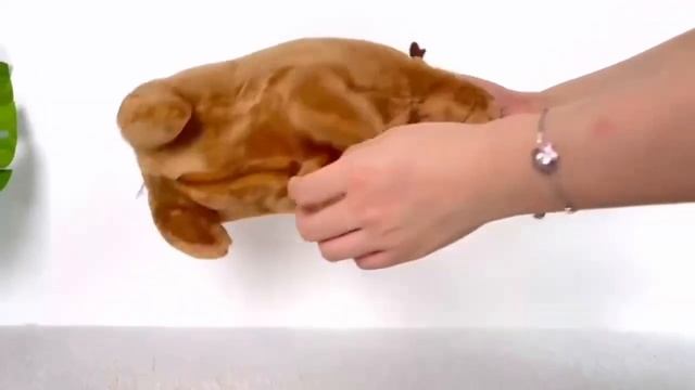 Mother with 4 cubs - Capybara Family (Style's Bug) смотреть онлайн