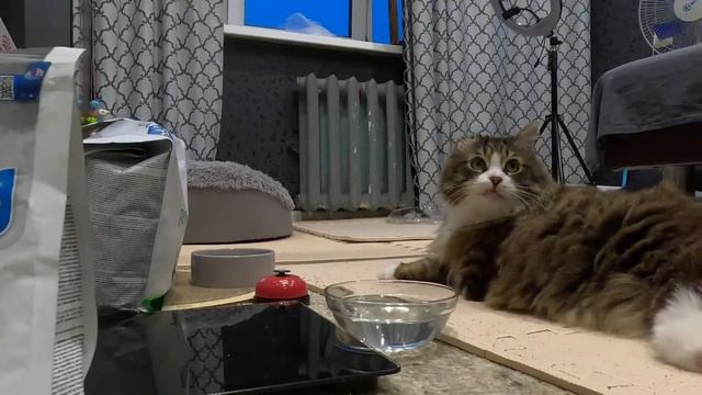 проверка связи смотреть онлайн