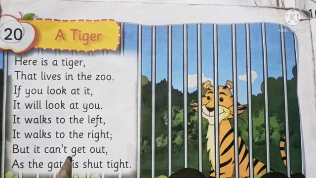 A Tiger 🐯 | Sr Kg Poem | Rhymes & Songs | S&D Teacher смотреть онлайн