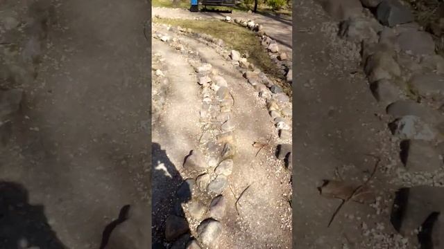 Воронцовский парк🏞️Каменный лабиринт, мощное Место Силы☀️Эта зона врата перехода между мирами💫 смотреть онлайн