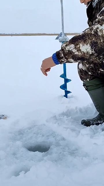 #shorts Зимняя рыбалка на безмотылку смотреть онлайн