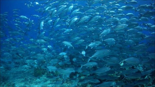 Туббатаха. Филиппины