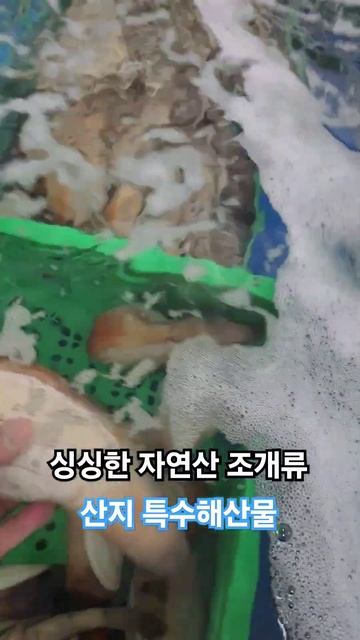 자연산 해산물 피조개 섭 왕우럭조개 코끼리조개 고동 해삼 문어 윤대정 #자연산해산물 #피조개 #섭 #왕우럭조개 #코끼리조개 #해삼 #윤대정수산물 смотреть онлайн