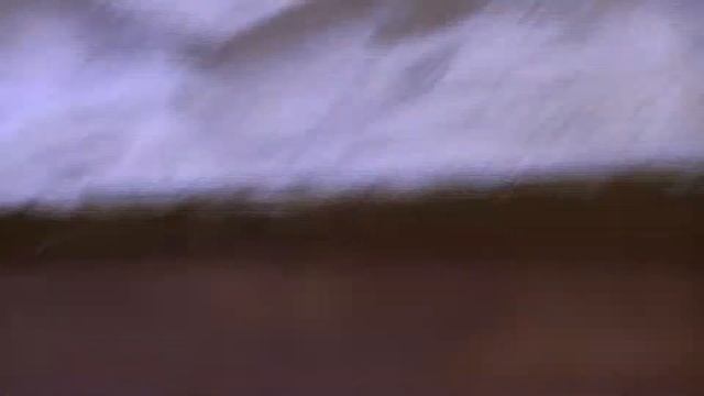 nourrissage des temnothorax смотреть онлайн