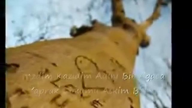 Yarim Bana Gelsin Elimi Tutsun смотреть онлайн