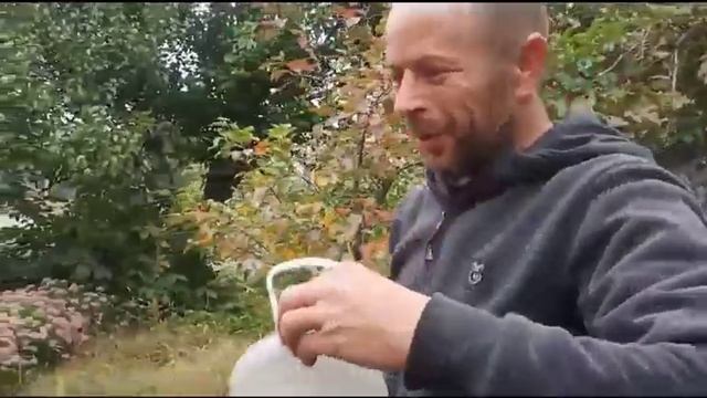 Добрі справи Стаса Франка. Журналіст : Гур'єв Ігорь смотреть онлайн