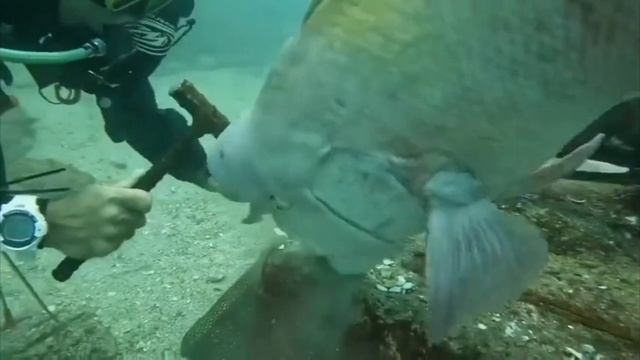 #Relaxing #RelaxVideo #VideoRelax #Relax #RelaxingMusic смотреть онлайн