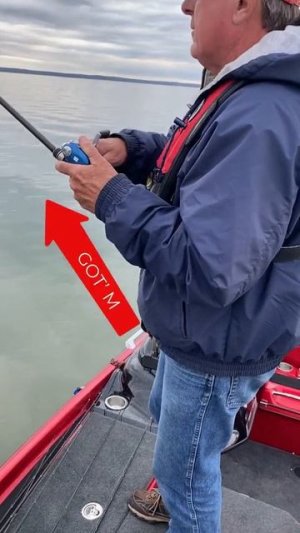 Garmin Livescope - Late Winter Bass on Silver Buddy's