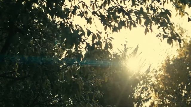 blackmagic pocket cinema 4K 6 Month Real World Review смотреть онлайн