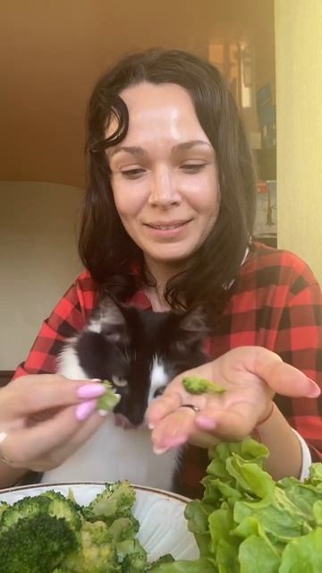 Что съест кот-салат 🥬 или брокколи 🥦? #котсемен смотреть онлайн