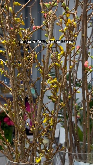 Скоро весна… смотреть онлайн