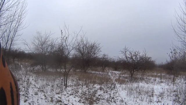 ОХОТА НА ЗАЙЦА РУСАКА смотреть онлайн