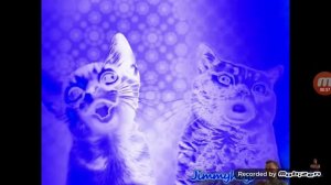 Preview 2 Numa Cat Effects (Sponsored preview 2 effects) Chorded