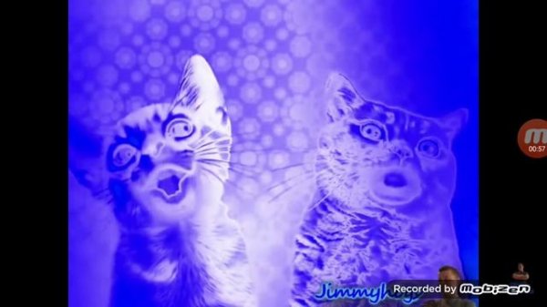 Preview 2 Numa Cat Effects (Sponsored preview 2 effects) Chorded