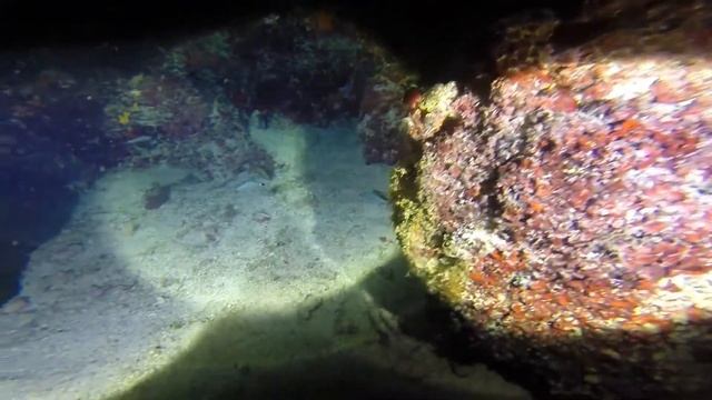 IMMERSIONE NOTTURNA AL CURVONE DI SANTA CATERINA LE смотреть онлайн