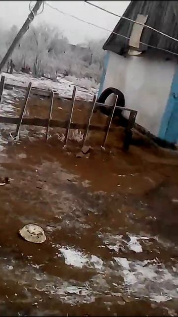 Как научить летать курей смотреть онлайн